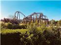 Veranstaltungsbild Movie Park